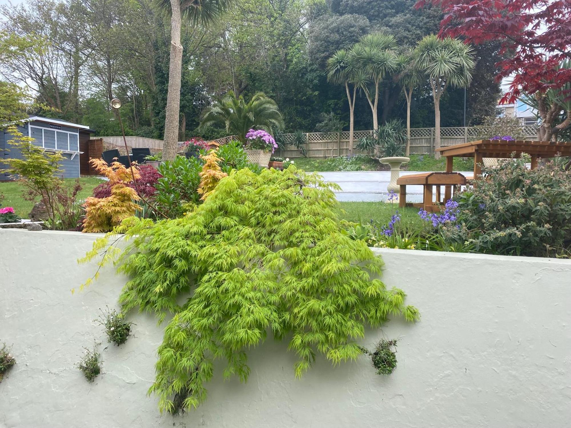 The Belmont Hotell Shanklin Exteriör bild