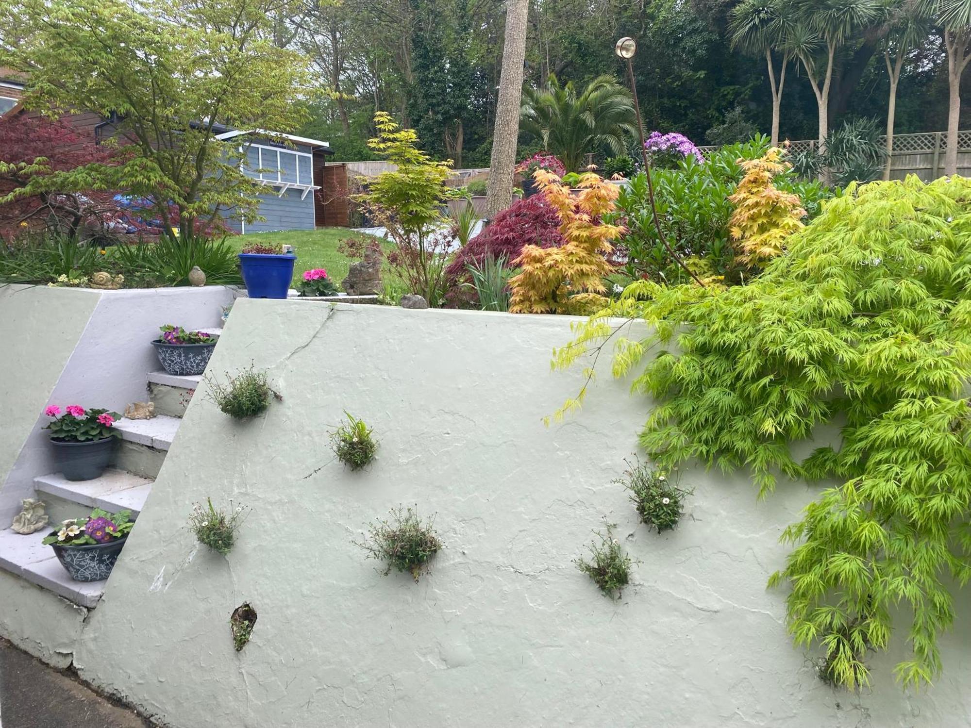 The Belmont Hotell Shanklin Exteriör bild