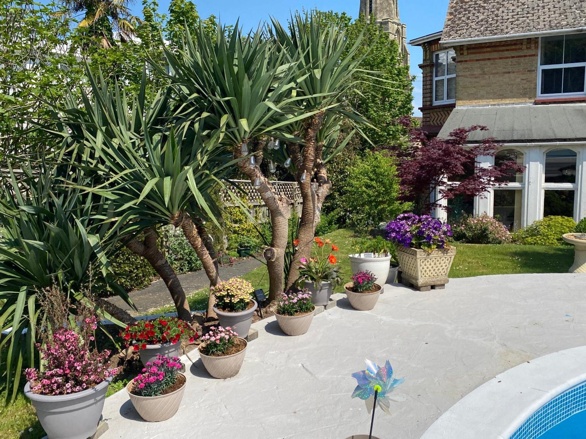The Belmont Hotell Shanklin Exteriör bild
